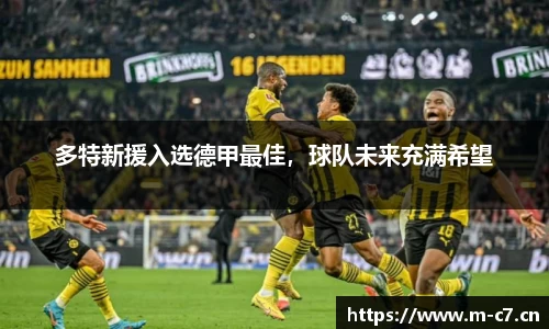 c7娱乐